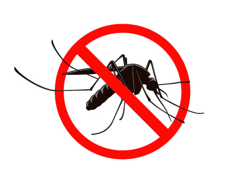 As Empresas de Dedetização no Combate à Dengue