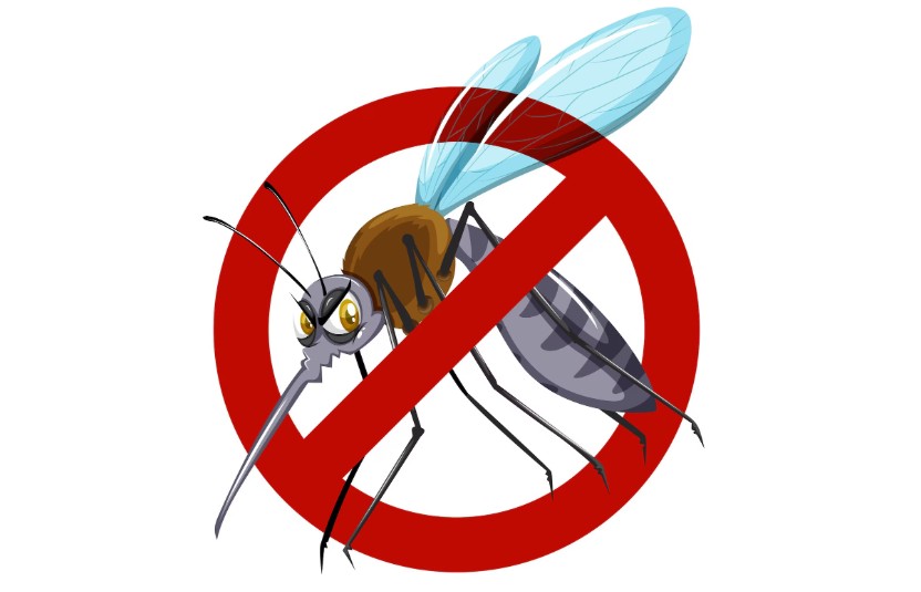 Dedetização Dengue
