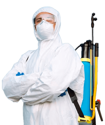 Dedetizador Controle de Pragas