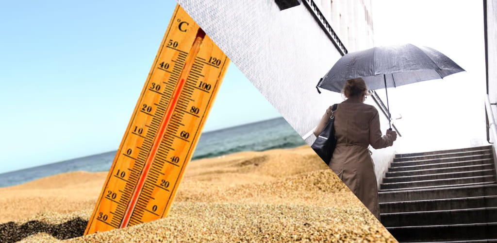 Calor e chuva: a combinação perfeita para baratas e mosquitos