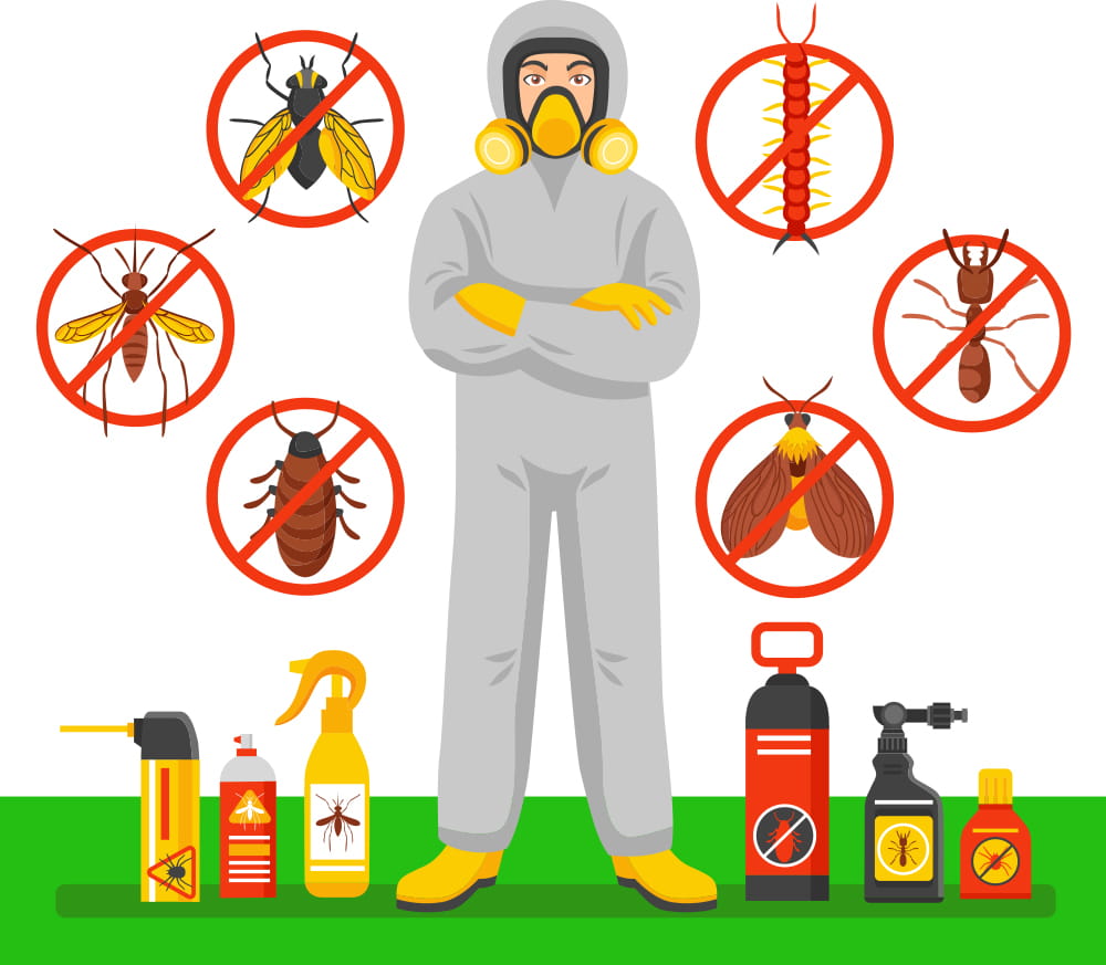 Pragas mais comuns no verão em Sorocaba