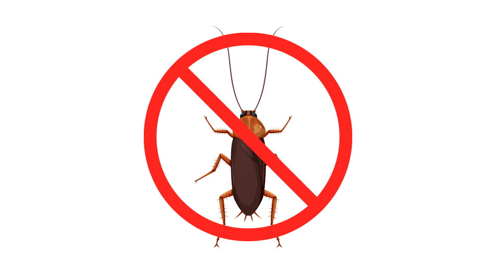 Barata
