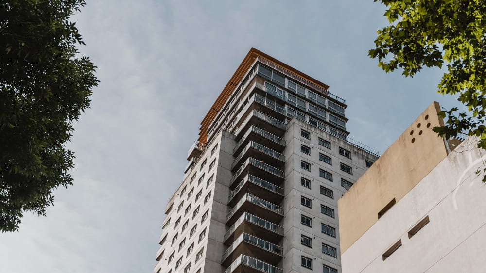 Como evitar pragas em apartamentos?